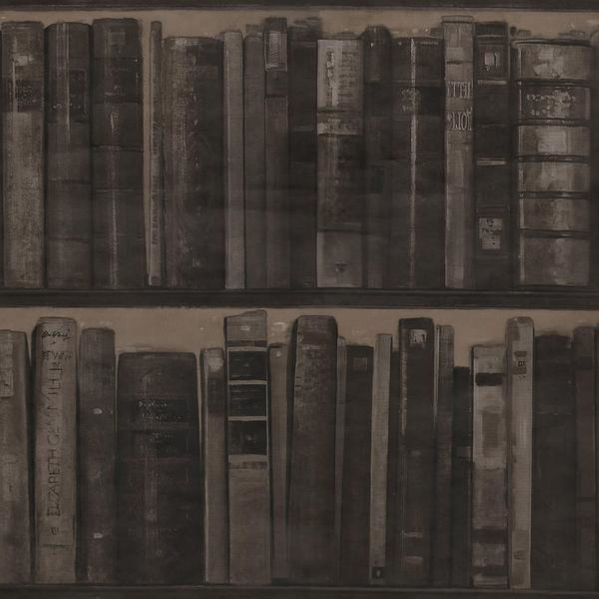 Library Cocoa (set 2 rollos) Decorazure