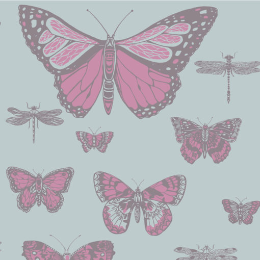 Butterflies & Dragonflies 103/15062