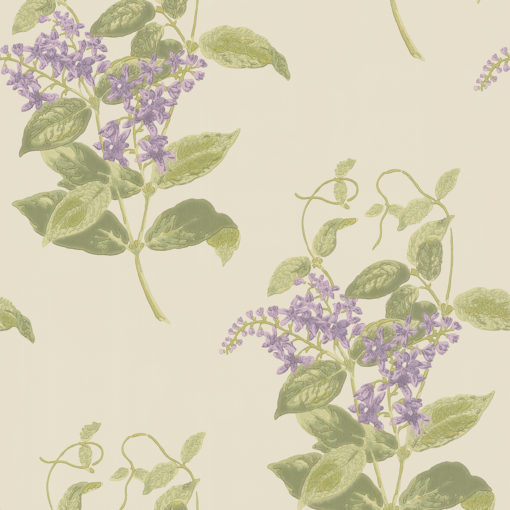 papel pintado cole&son Archive Anthology Madras Violet 100-12056